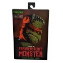 Universal Monsters x TMNT figurine Ultimate Raphael as Frankenstein's Monster